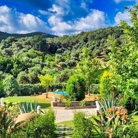 Villa Kalaitsidi - Plunge Pool, Gym And Unique Gardens Skines Экстерьер фото